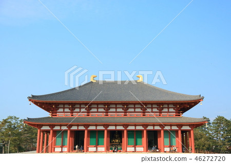 Kofuku-ji Temple 46272720