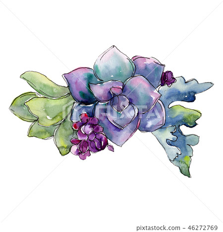 Purple succulent flower bouquet. Watercolor background illustration set. Watercolour drawing fashion 46272769
