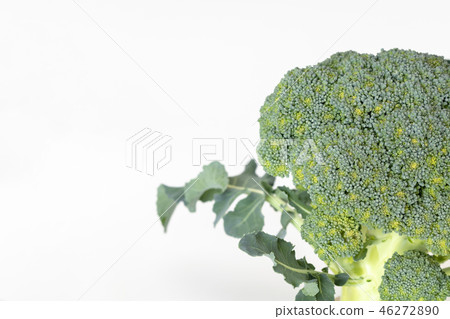 用葉子的西蘭花 46272890
