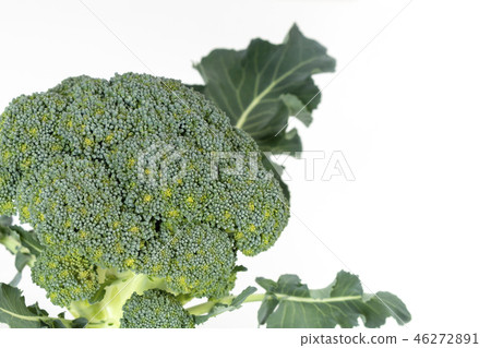 用葉子的西蘭花 46272891