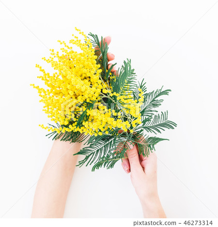 Woman hold in hands bouquet of yellow flower Woman hold in hands bouquet of yellow flower 46273314