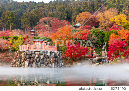 Autumn leaves of Bentendo and pond 46273490
