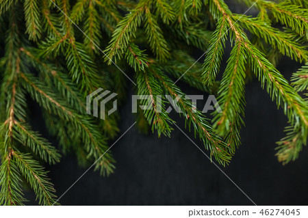 spruce and black background. Wooden background spruce and black background. Wooden background 46274045