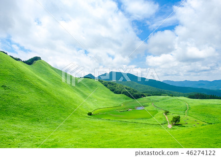 夏天的Sogen高原 46274122