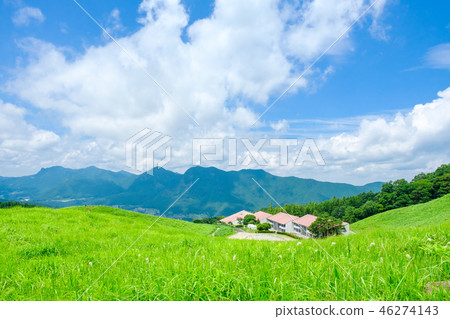 夏天的Sogen高原 46274143