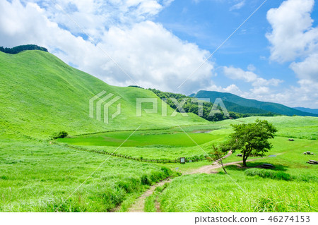 夏天的Sogen高原 夏天的Sogen高原 46274153