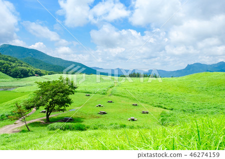 夏天的Sogen高原 46274159