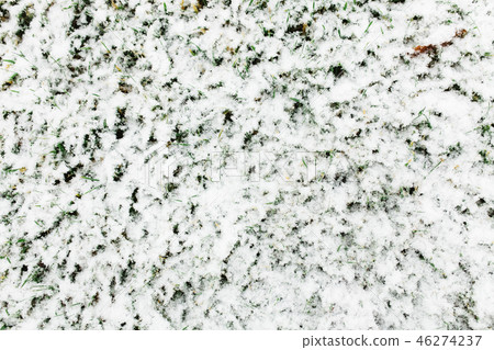 Green grass covered with snow Green grass covered with snow 46274237