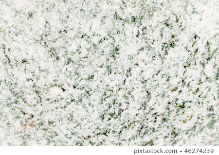 Green grass covered with snow 46274239