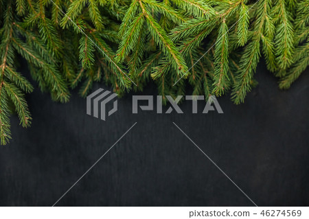 spruce and black background. Wooden background 46274569