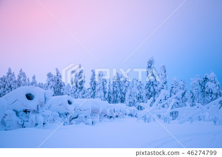 Snow Cannons on the Edge of the Winter Forest 46274799