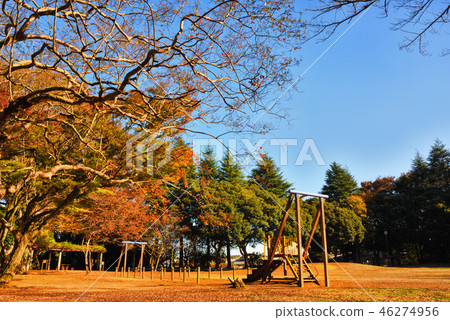 Nagareyama City綜合運動公園樹木和遊樂場設備 Nagareyama City綜合運動公園樹木和遊樂場設備 46274956