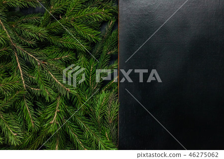 Fresh fir branch, isolated on a black background 46275062