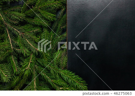 Fresh fir branch, isolated on a black background 46275063