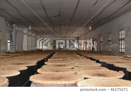 Vinegar Turtle Vinegar Turtle 46275071