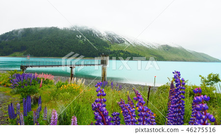 特卡波湖 46275516