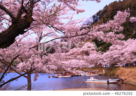 Kaizu Osaki(滋賀縣高島市)櫻花盛開 Kaizu Osaki(滋賀縣高島市)櫻花盛開 46276292