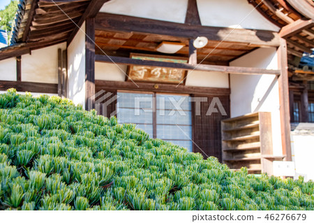 Guest House and Five Leaf Matsu in Bichina Branch 46276679