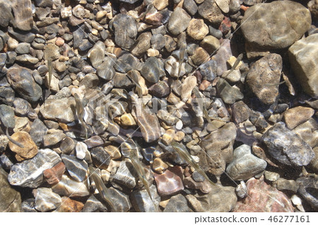 一群kawamuts 46277161