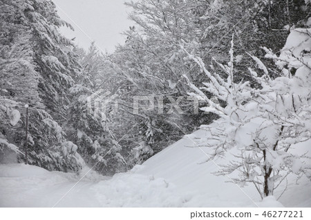 下雪的風景 46277221