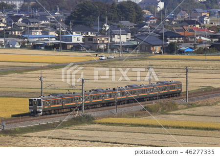 信越本線211系列（4編組：高崎⇔橫河）穿越鄉間 46277335