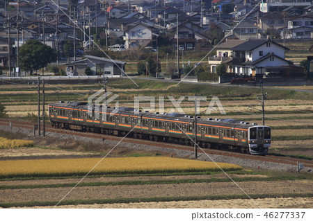 Shinetsu Main Line 211 series (4-car formation: Takasaki ⇔ Yokogawa) going through the countryside Shinetsu Main Line 211 series (4-car formation: Takasaki ⇔ Yokogawa) going through the countryside 46277337