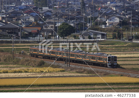 Shinetsu Main Line 211 series (4-car formation: Takasaki ⇔ Yokogawa) going through the countryside 46277338