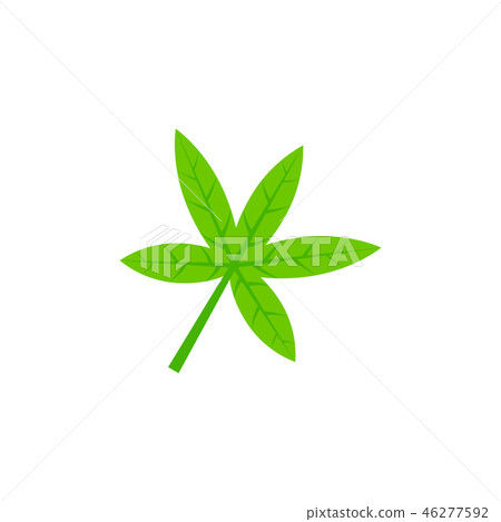 palmatisect maple leaf flat icon 46277592