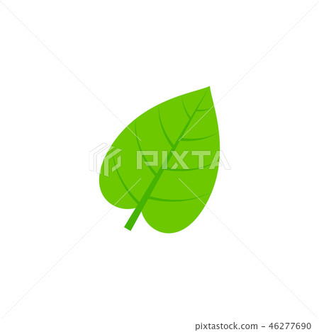 cordate leaf flat icon cordate leaf flat icon 46277690