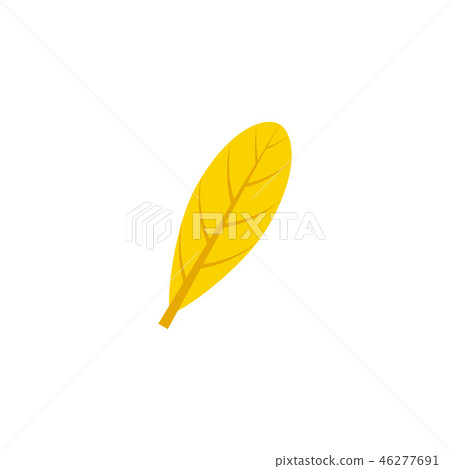 oblanceolate maple leaf flat icon oblanceolate maple leaf flat icon 46277691