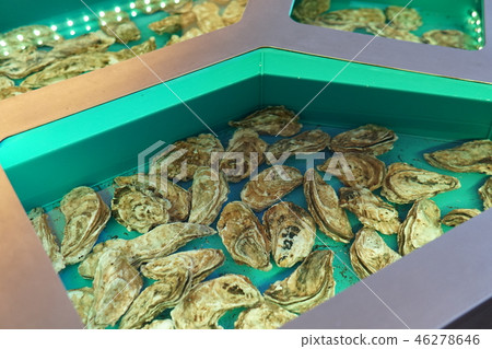 Ocean oysters in the kitchen of the restaurant seafood 46278646