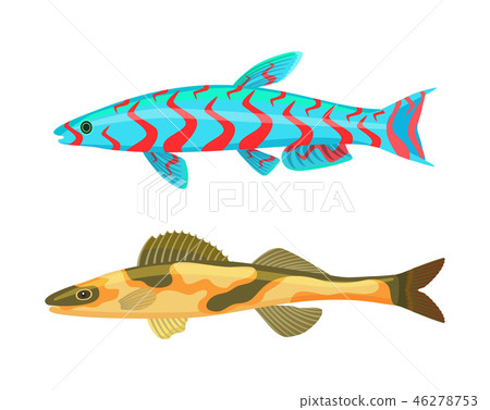 Cirrhitops Fasciatus Fish Set Vector Illustration 46278753