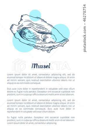 Mussel Marine Creature Hand Drawn Poster with Text 46278754