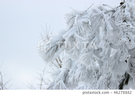 Snow, Mt. Halla, Snow, 46278882