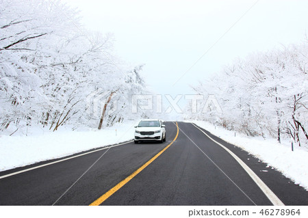 Road, way to Mt. Halla, snow, snowflake, 46278964