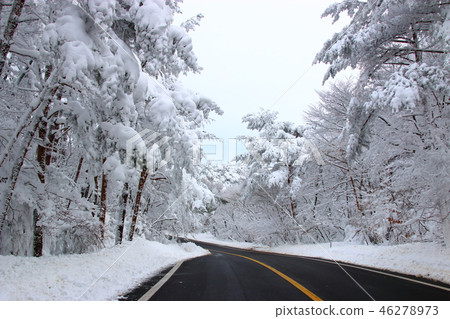 Road, way to Mt. Halla, snow, snowflake, Road, way to Mt. Halla, snow, snowflake, 46278973