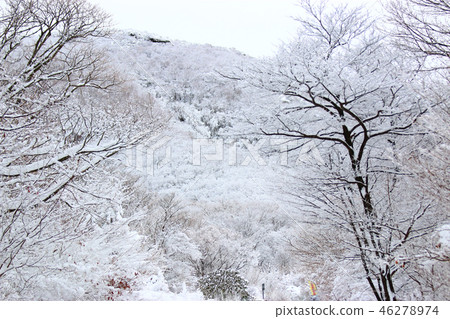 Snow landscape, 1100 highland wetland, snow flake, 46278974