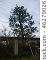 Akechi離開了Magnomauke Komanomatsu 46279026