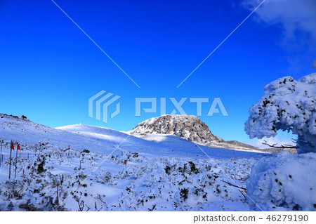 漢拏山，雪，雪， 46279190
