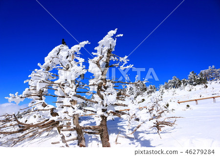 漢拏山,雪,雪, 漢拏山,雪,雪, 46279284