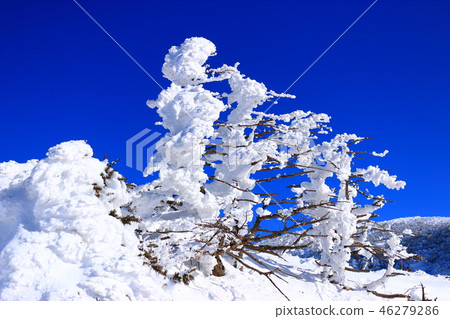 漢拏山，雪，雪， 46279286