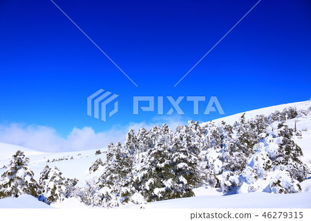 Mt. Halla, snow, snow, snow, 46279315