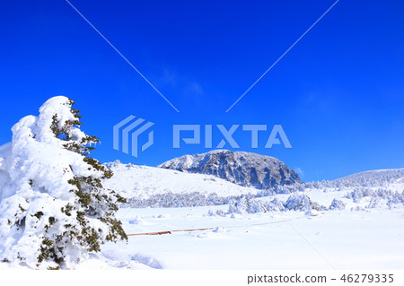 Mt. Halla, snow, snow, snow, Mt. Halla, snow, snow, snow, 46279335