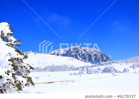 Mt. Halla, snow, snow, snow, Mt. Halla, snow, snow, snow, 46279337