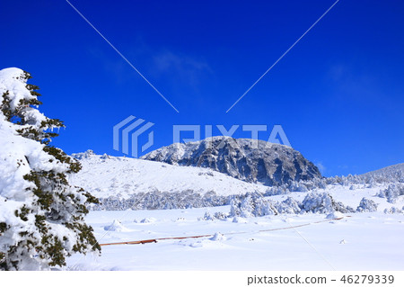 漢拏山，雪，雪，雪， 46279339