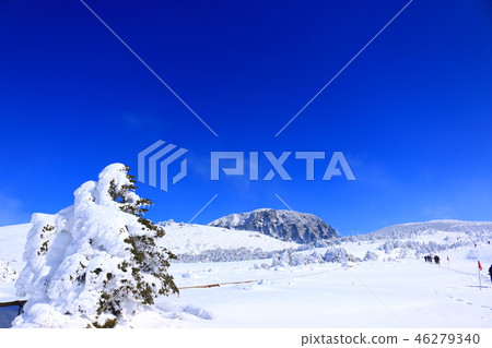 Mt. Halla, snow, snow, snow, 46279340