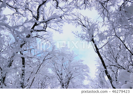 Mt. Halla, snow, snow, snow, 46279423