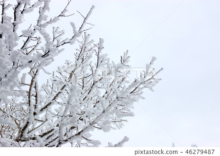 1100 Highland wetland, snow, snow, snow, 1100 Highland wetland, snow, snow, snow, 46279487