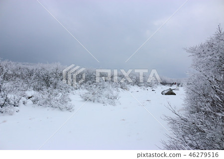 1100 Highland wetland, snow, snow, snow, 46279516