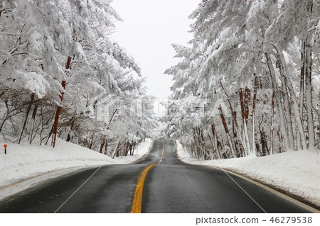 Road, way to Mt. Halla, snow, snow, snow, 46279538